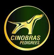 Cinobras