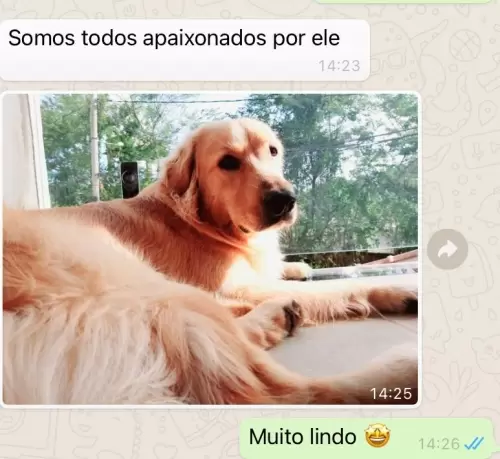Feedbacks dos Clientes