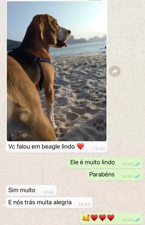 Feedbacks dos Clientes