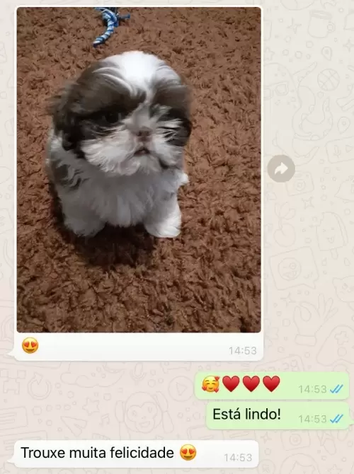 Feedbacks dos Clientes