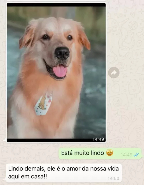 Feedbacks dos Clientes