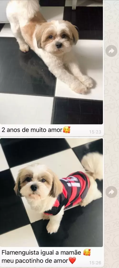 Feedbacks dos Clientes