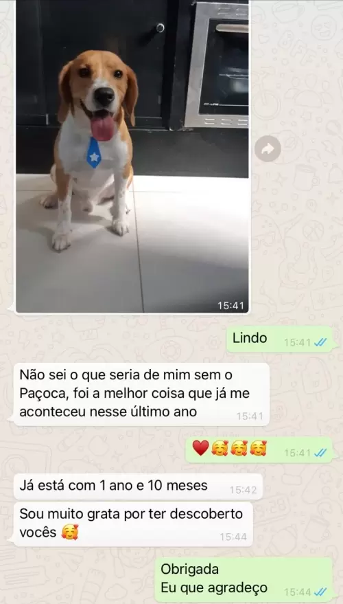 Feedbacks dos Clientes
