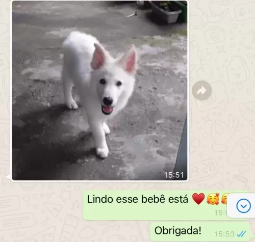 Feedbacks dos Clientes