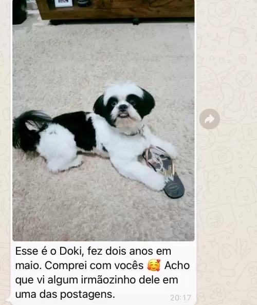 Feedbacks dos Clientes