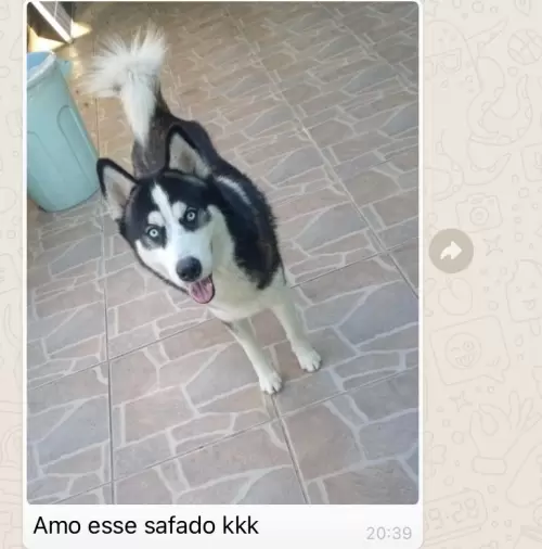 Feedbacks dos Clientes