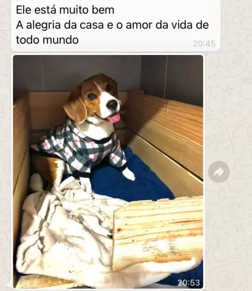 Feedbacks dos Clientes