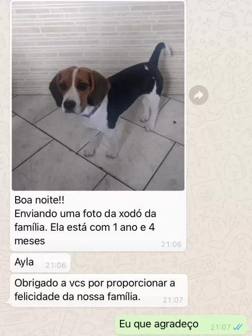 Feedbacks dos Clientes