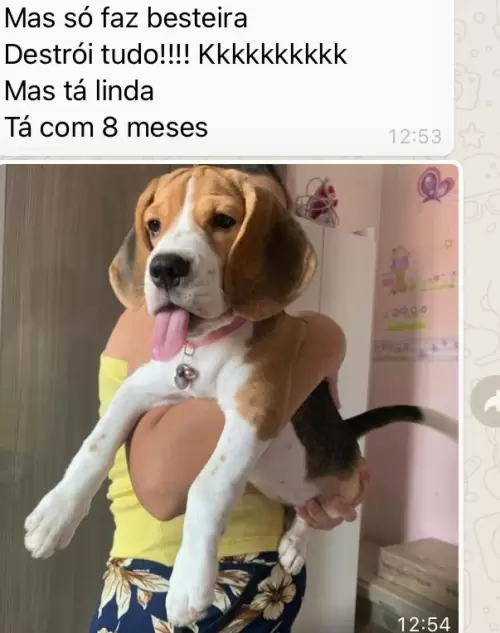Feedbacks dos Clientes