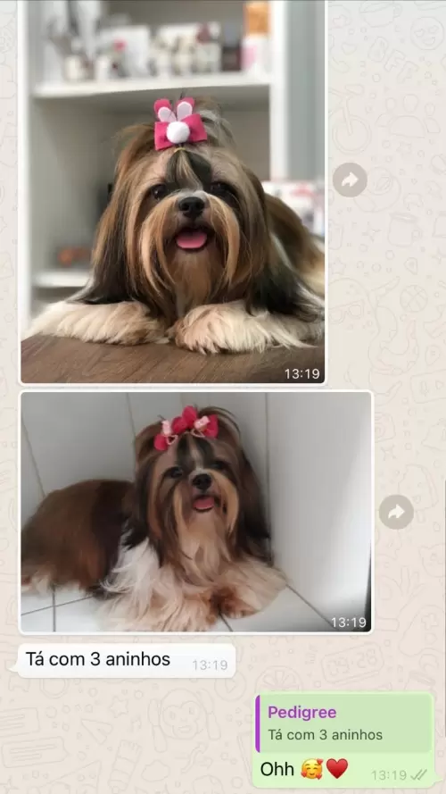 Feedbacks dos Clientes