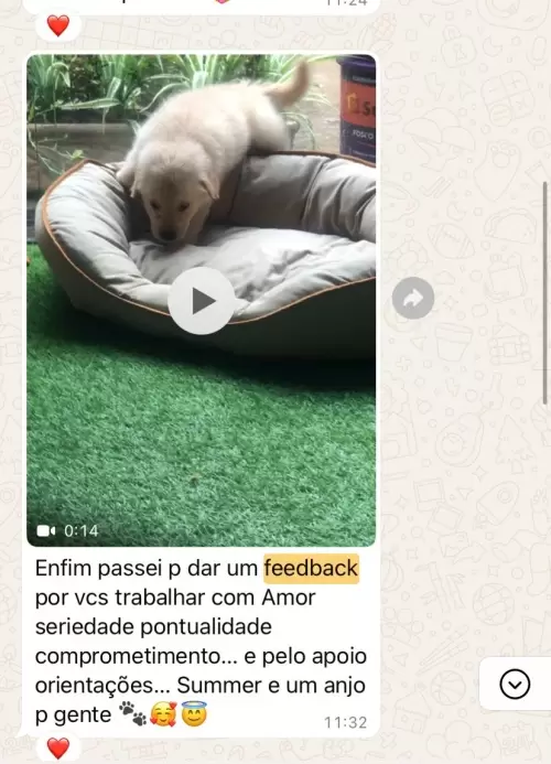 Feedbacks dos Clientes